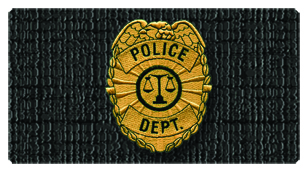 DSC700 419 Police Department